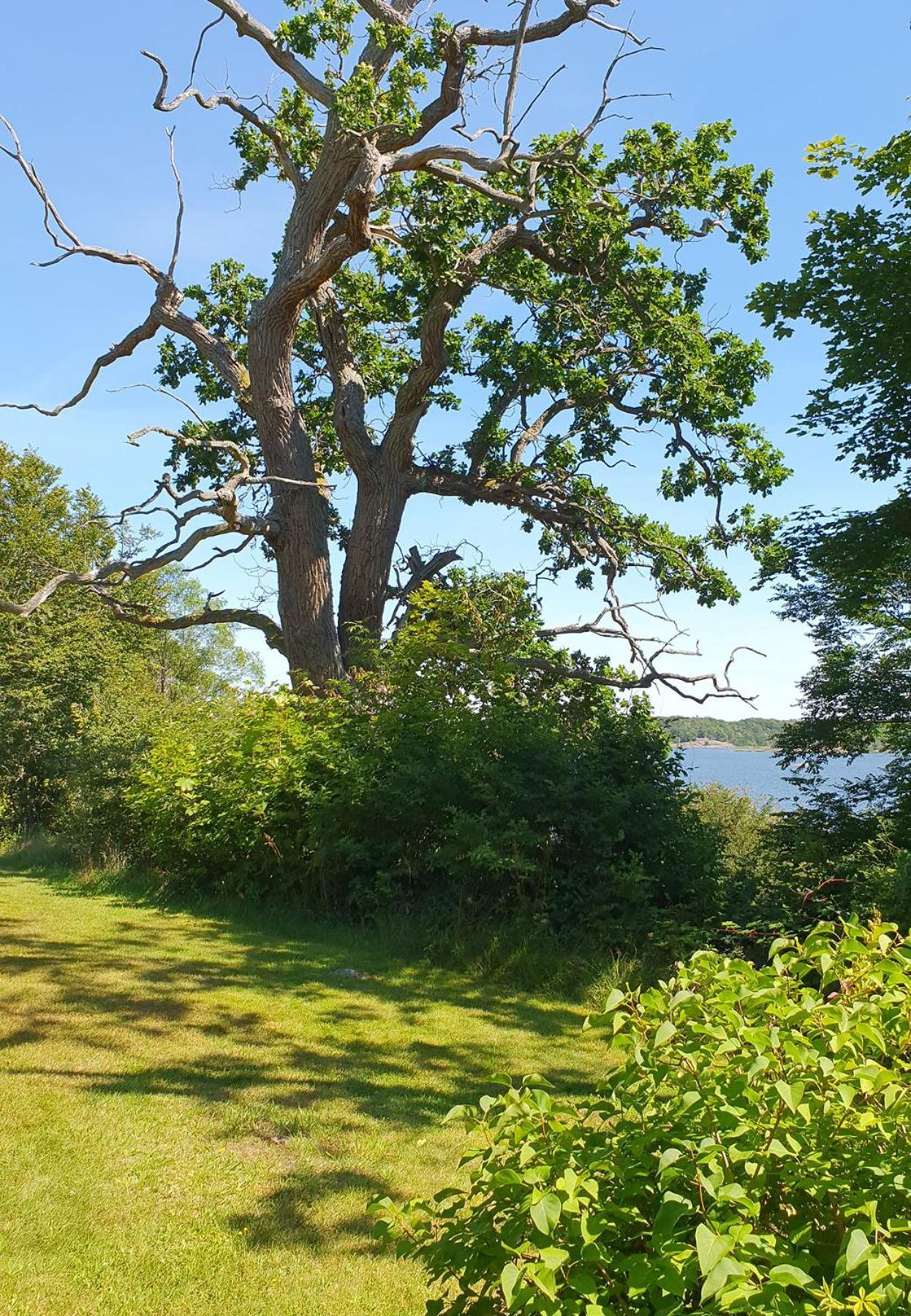 Skaerva Herrgard Karlskrona Dış mekan fotoğraf