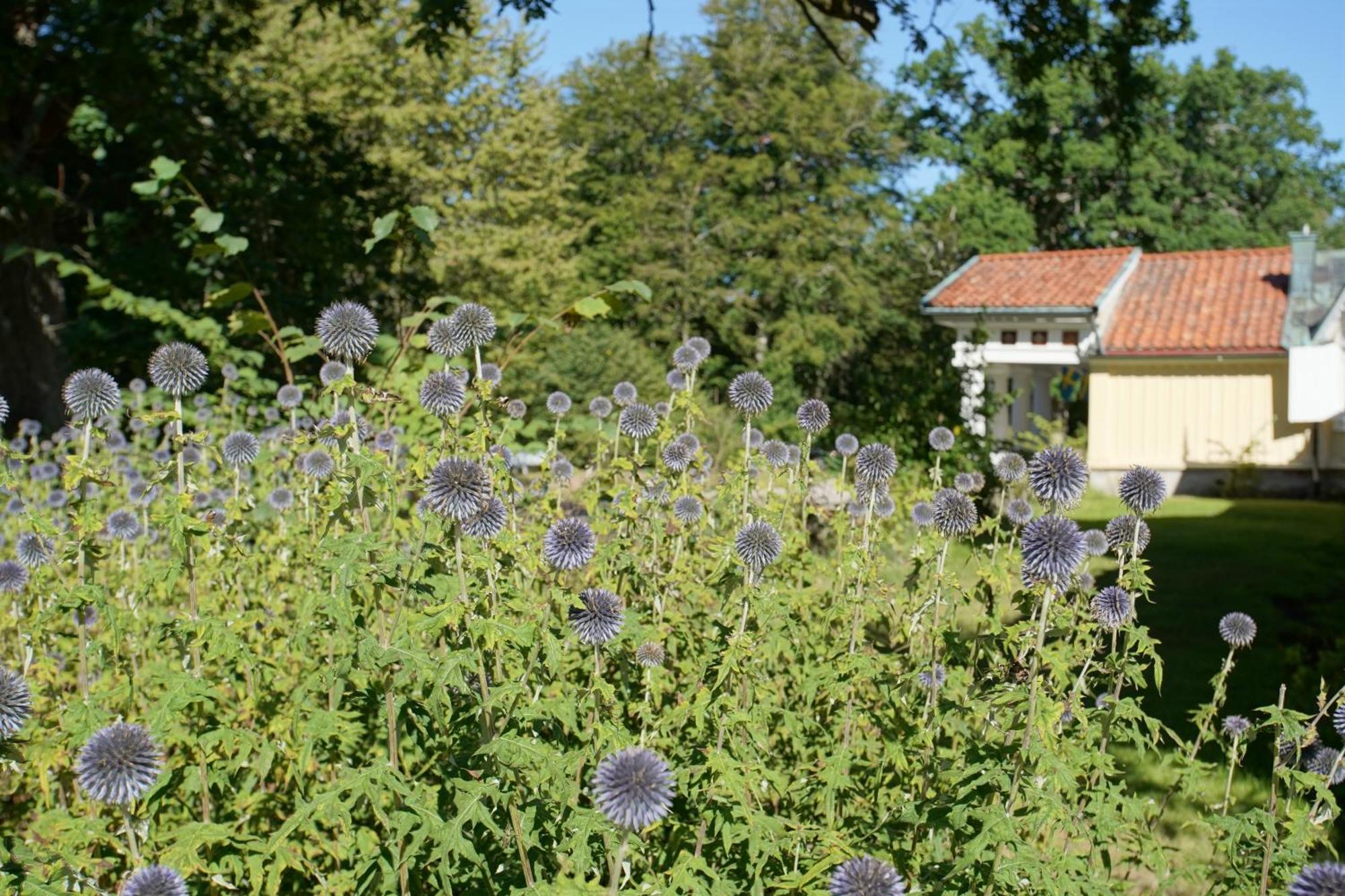 Skaerva Herrgard Karlskrona Dış mekan fotoğraf